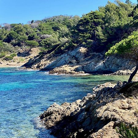 Chateau De Valmer La Croix-Valmer Εξωτερικό φωτογραφία