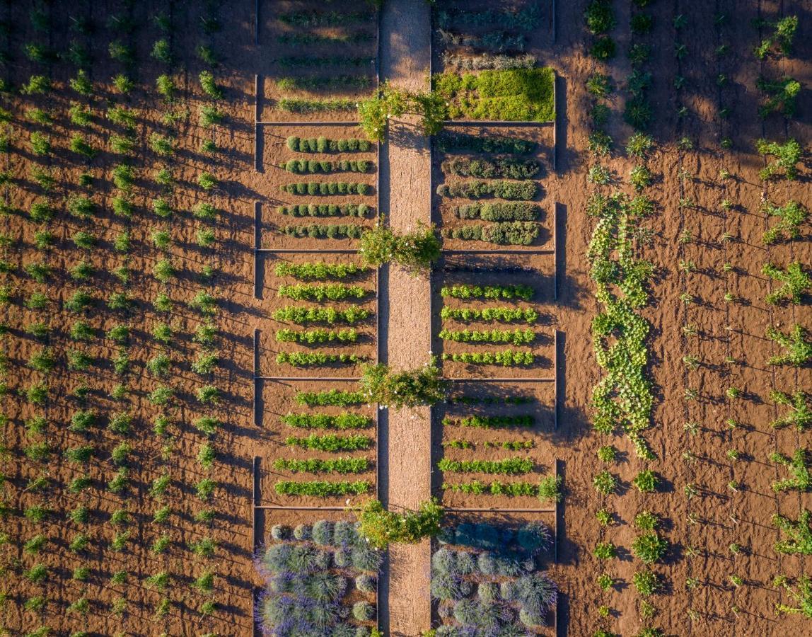 Chateau De Valmer La Croix-Valmer Εξωτερικό φωτογραφία