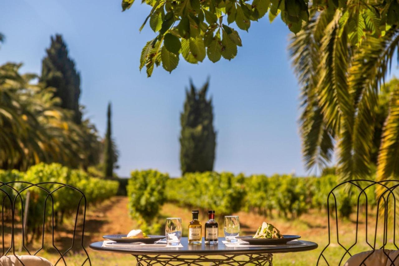 Chateau De Valmer La Croix-Valmer Εξωτερικό φωτογραφία