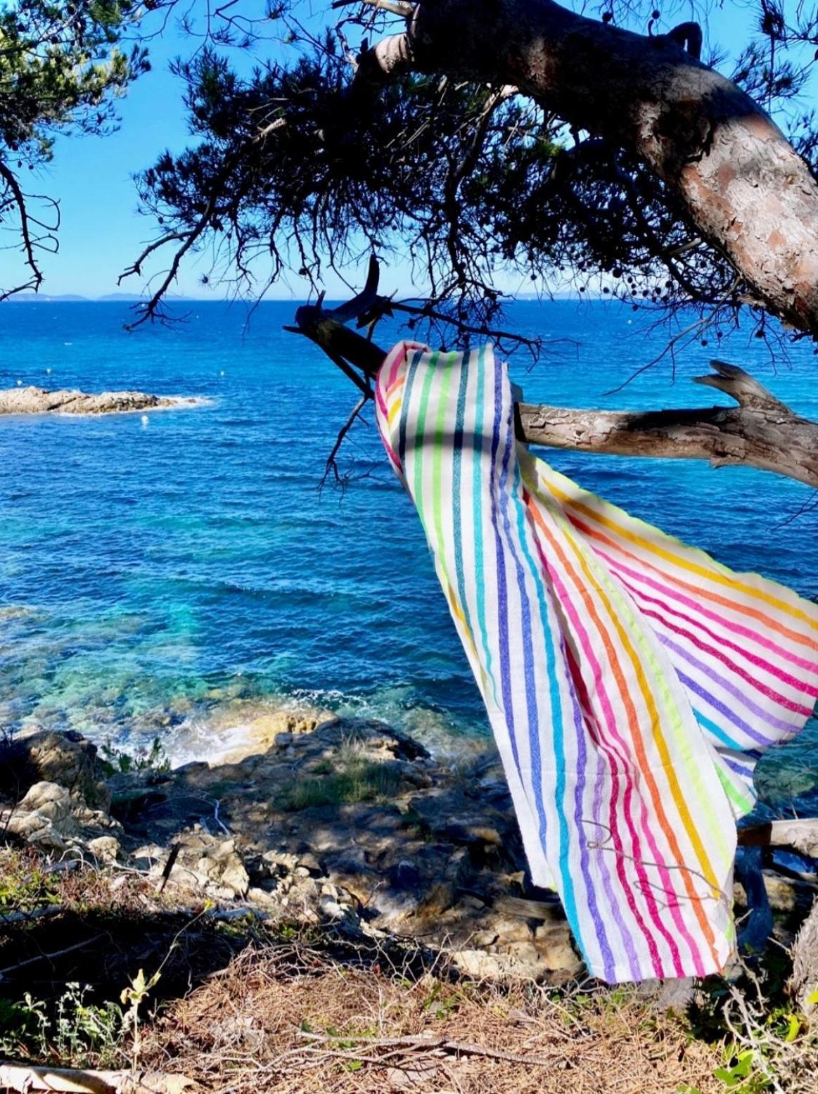 Chateau De Valmer La Croix-Valmer Εξωτερικό φωτογραφία