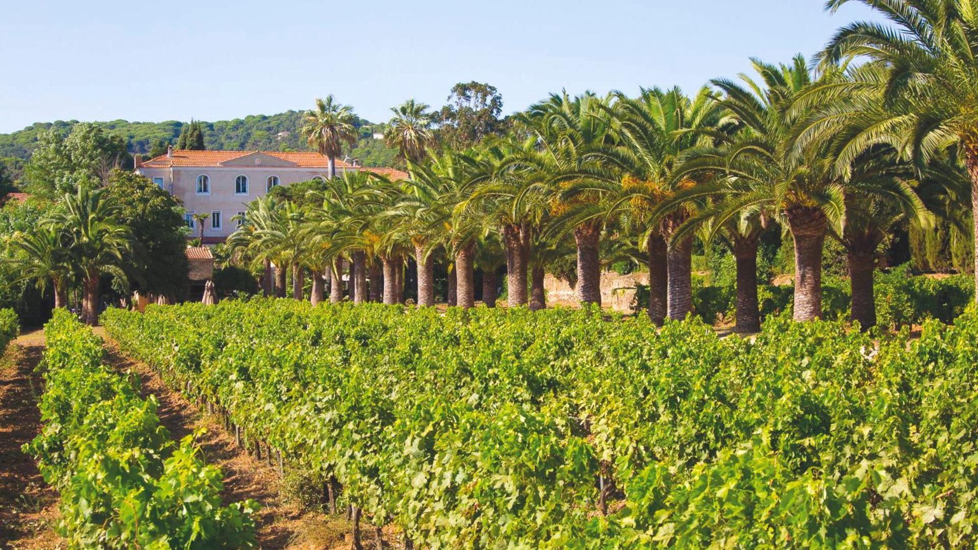 Chateau De Valmer La Croix-Valmer Εξωτερικό φωτογραφία