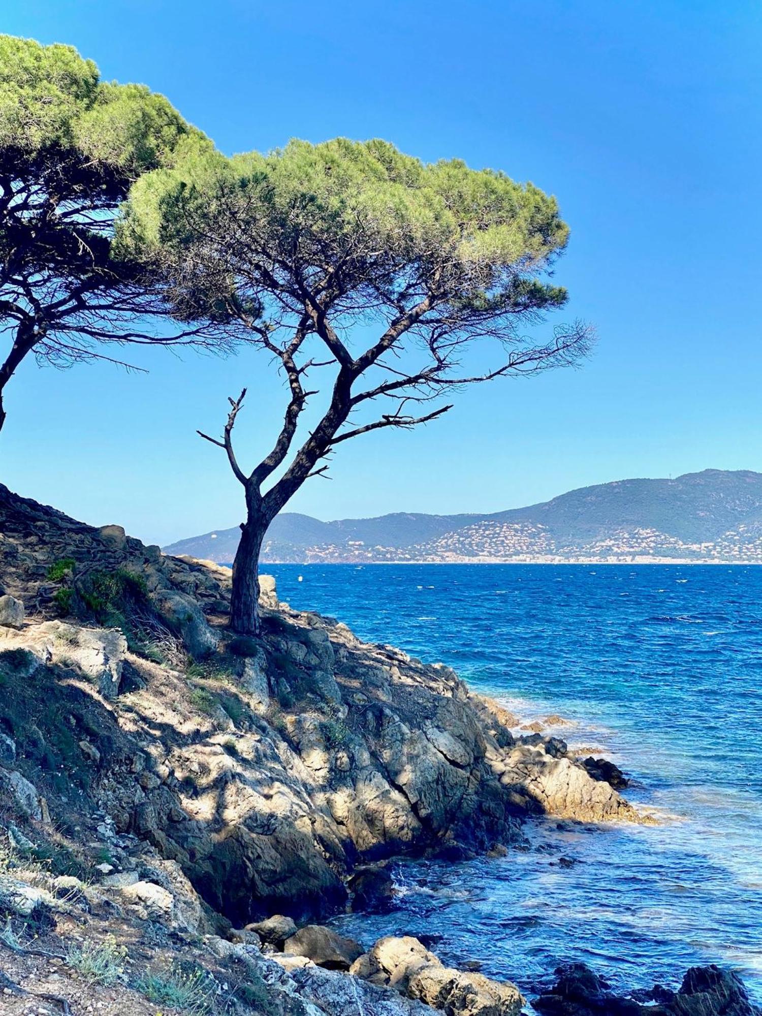 Chateau De Valmer La Croix-Valmer Εξωτερικό φωτογραφία