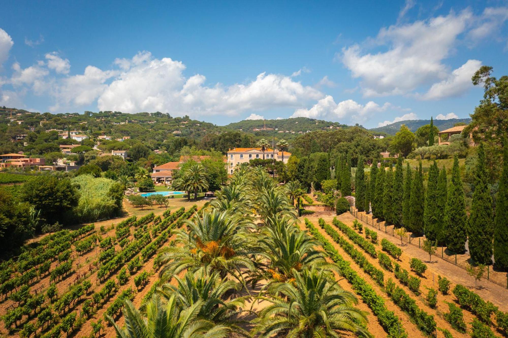 Chateau De Valmer La Croix-Valmer Εξωτερικό φωτογραφία