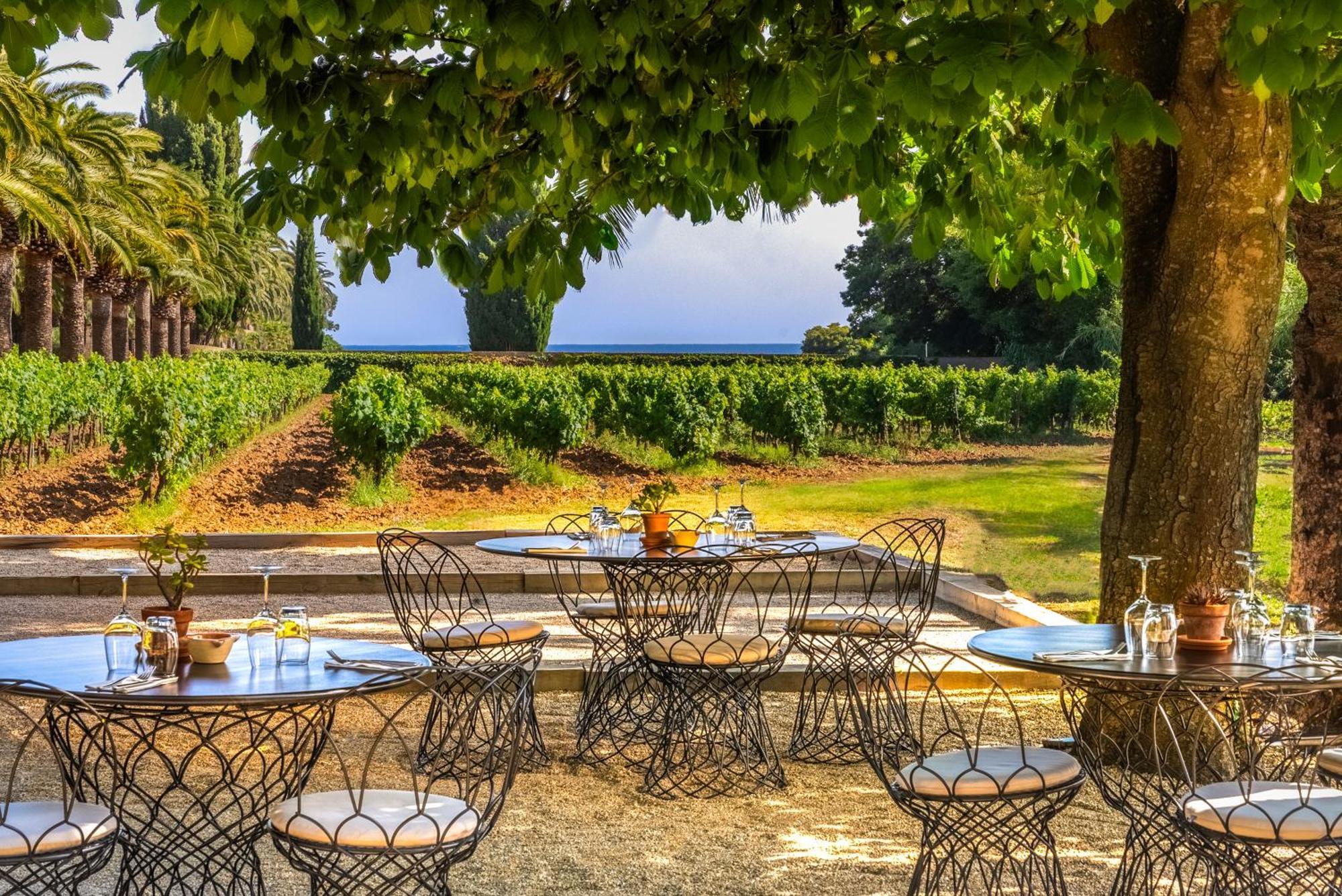 Chateau De Valmer La Croix-Valmer Εξωτερικό φωτογραφία