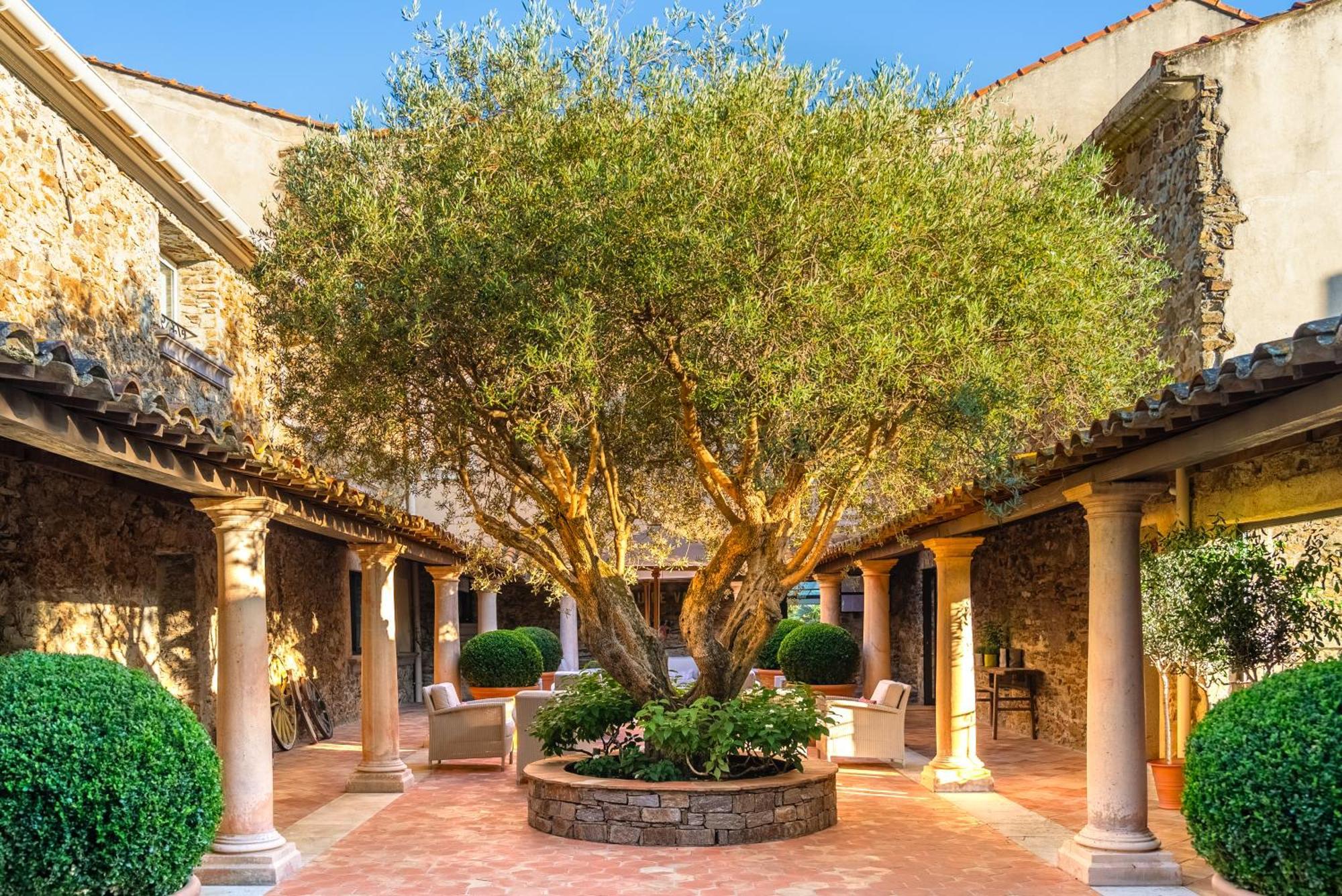 Chateau De Valmer La Croix-Valmer Εξωτερικό φωτογραφία