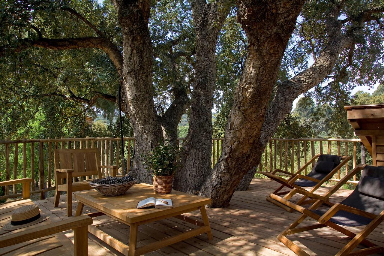 Chateau De Valmer La Croix-Valmer Εξωτερικό φωτογραφία