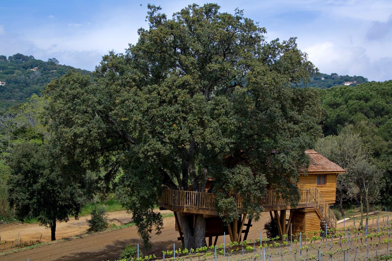 Chateau De Valmer La Croix-Valmer Εξωτερικό φωτογραφία